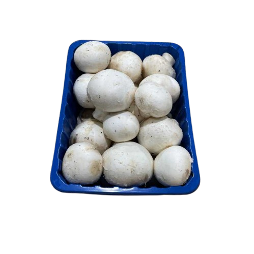 Champignons de Paris 260g